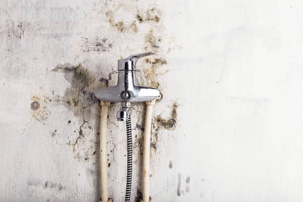 Water Damage Restoration in Jemison, AL