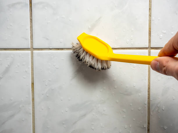 Best Mold Cleaning Services  in Jemison, AL
