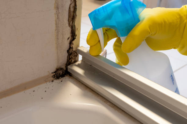 Best Office Mold Removal Services  in Jemison, AL
