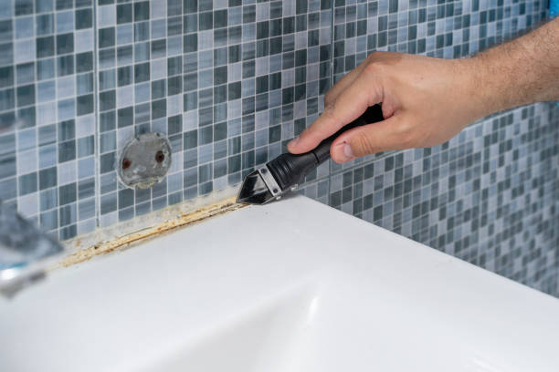 Professional Mold Removal in Jemison, AL